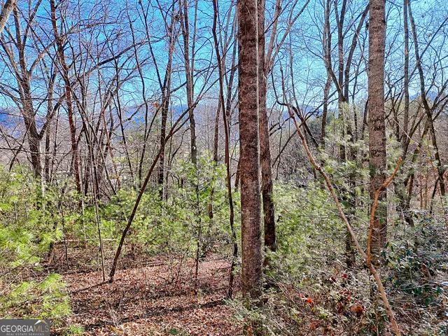 $315,000 | 170 White Street, Dillard, GA 30537