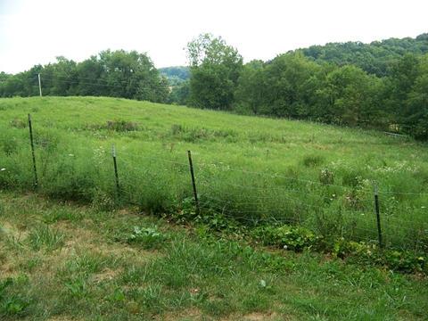20536 Earnest Road Mount Vernon, OH 43050 - Photo 8 of 15