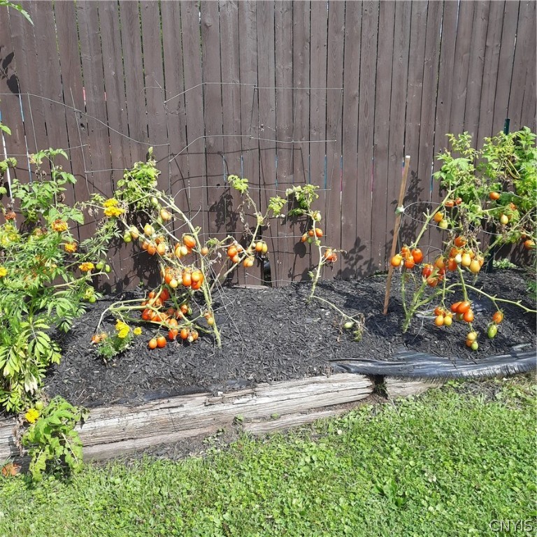 7 Van Epps Street Vernon, NY 13476 - Photo 7 of 35