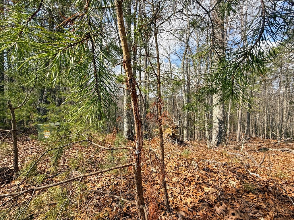 906 Scratch Gravel Road Max Meadows, VA 24360 - Photo 21 of 27 Gallery Image 21