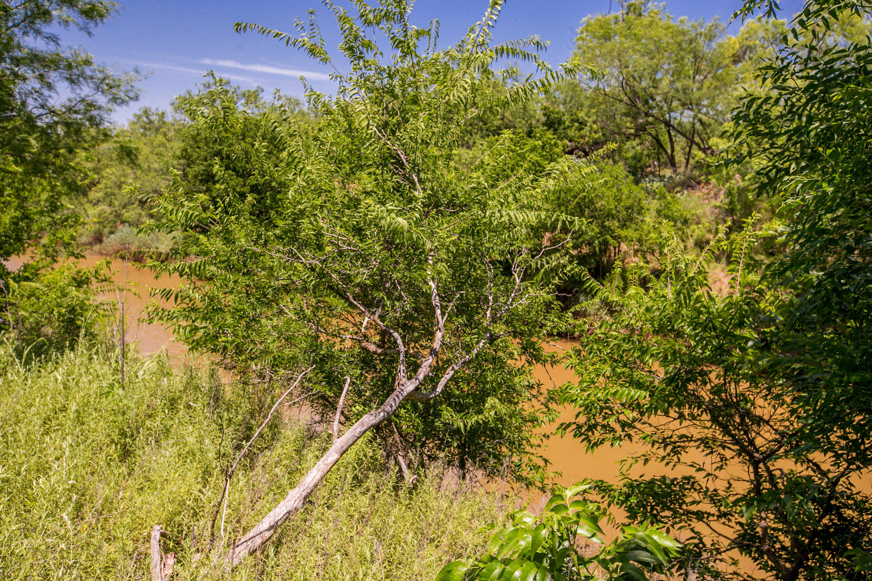 281 2884 Ballinger, TX 76821 - Photo 36 of 48 6L4A7868