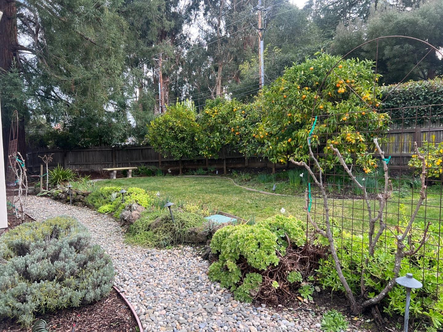2198 Avy Avenue Menlo Park, CA 94025 - Photo 28 of 28 a garden with trees in front of it