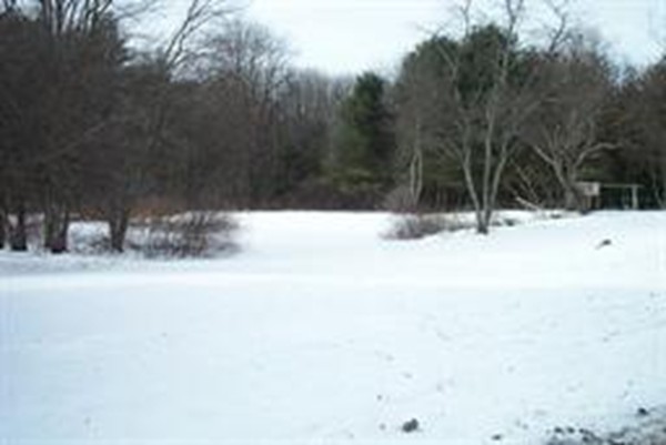 160 Allen Road Berlin, MA 01503 - Photo 2 of 4 a view of open space with green space