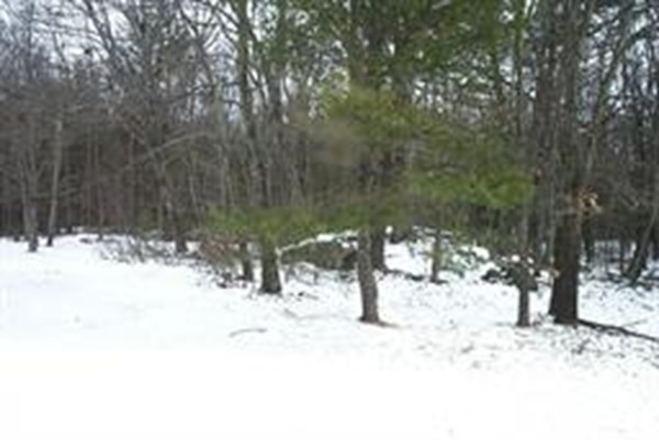 160 Allen Road Berlin, MA 01503 - Photo 3 of 4 a street view covered with snow