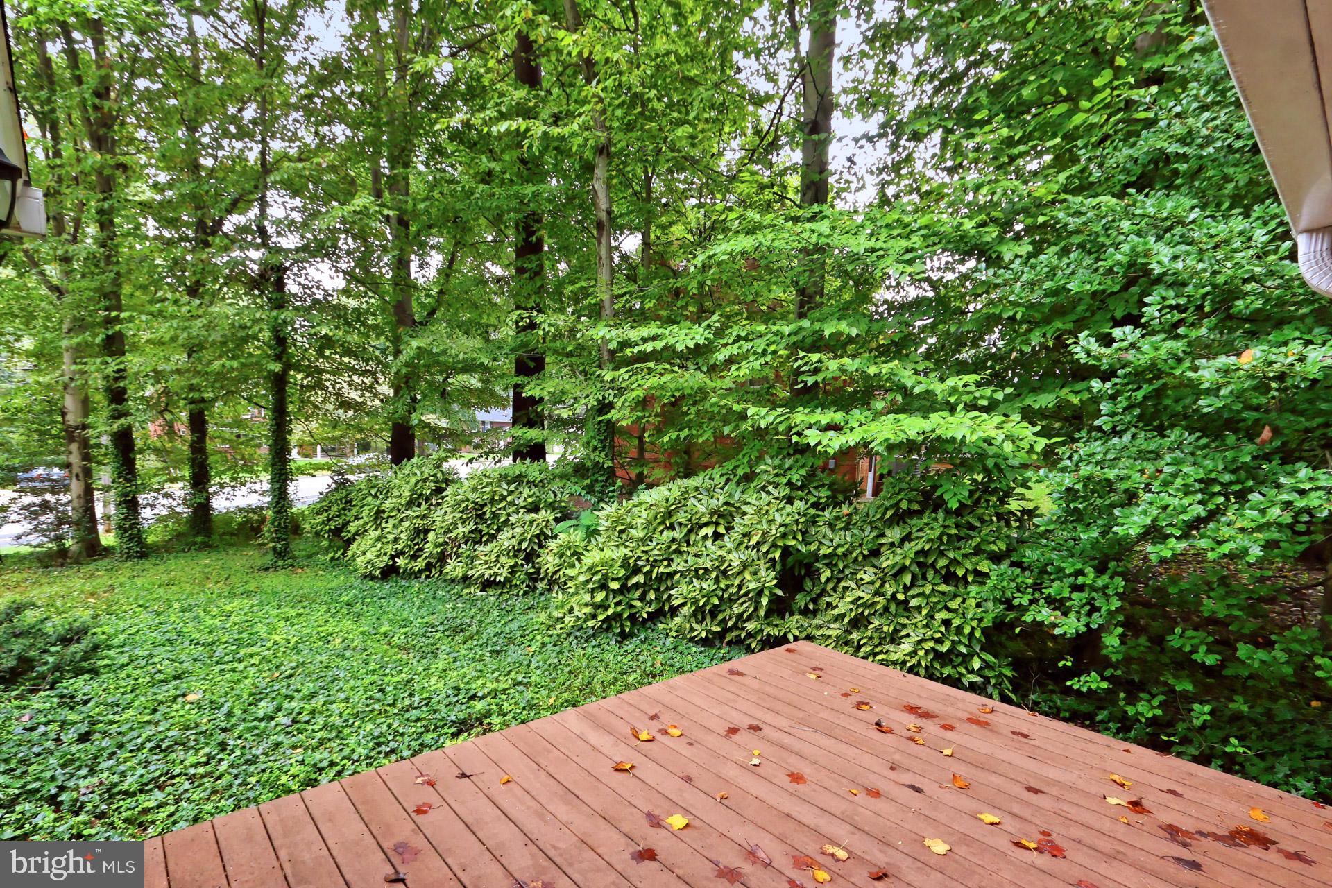 4604 Sleaford Road Annandale, VA 22003 - Photo 45 of 51 Fabulous deck