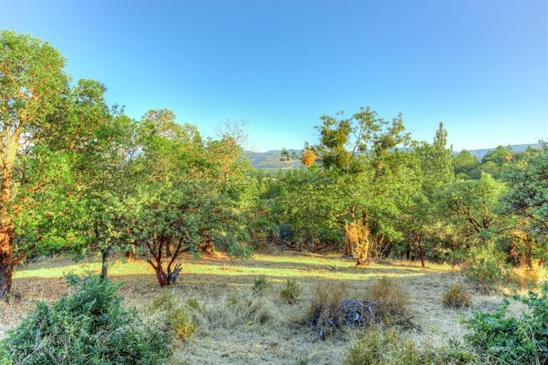 2388 Old Military Road Central Point, OR 97502 - Photo 10 of 35 Additional Photo