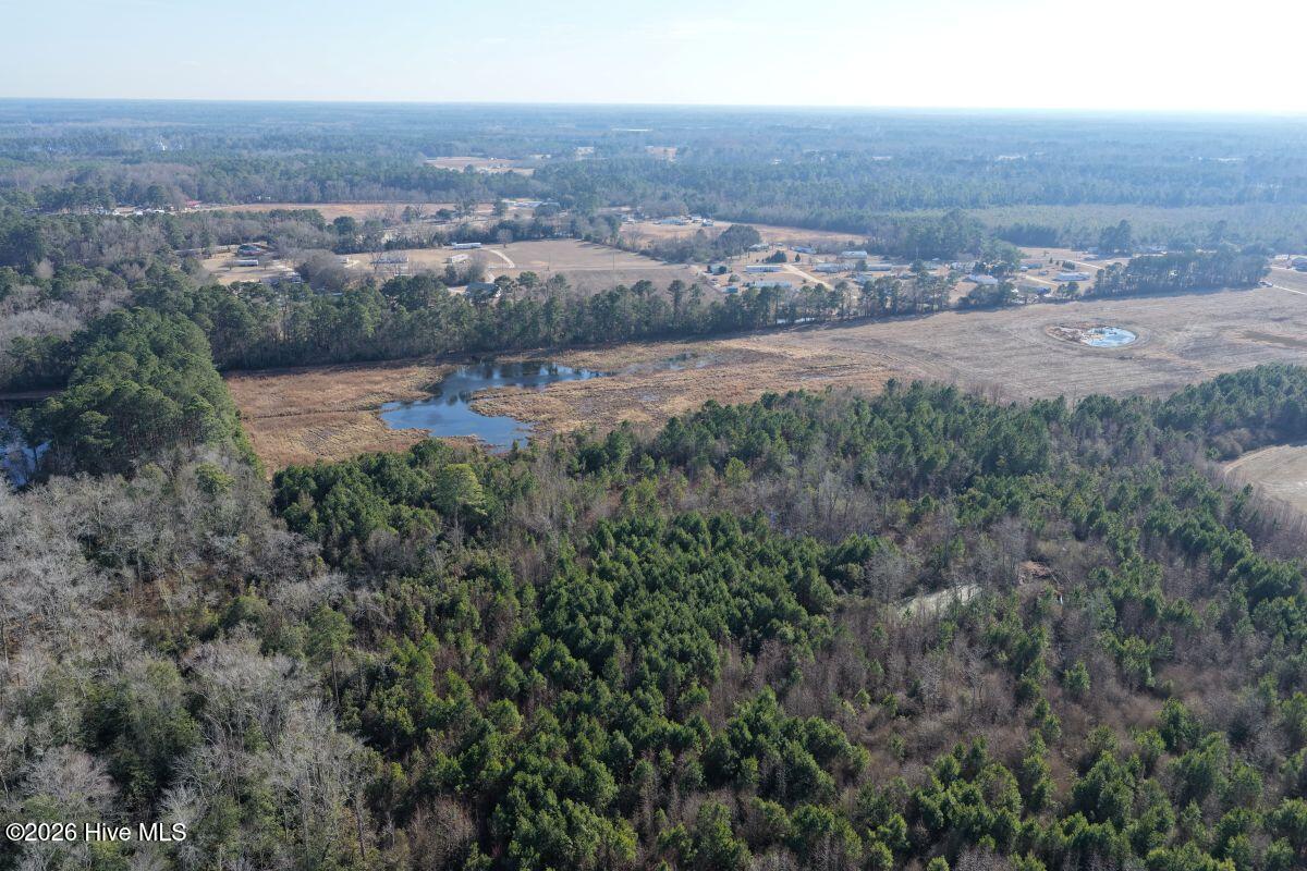 0 Center Road Bladenboro, NC 28320 - Photo 21 of 56 21