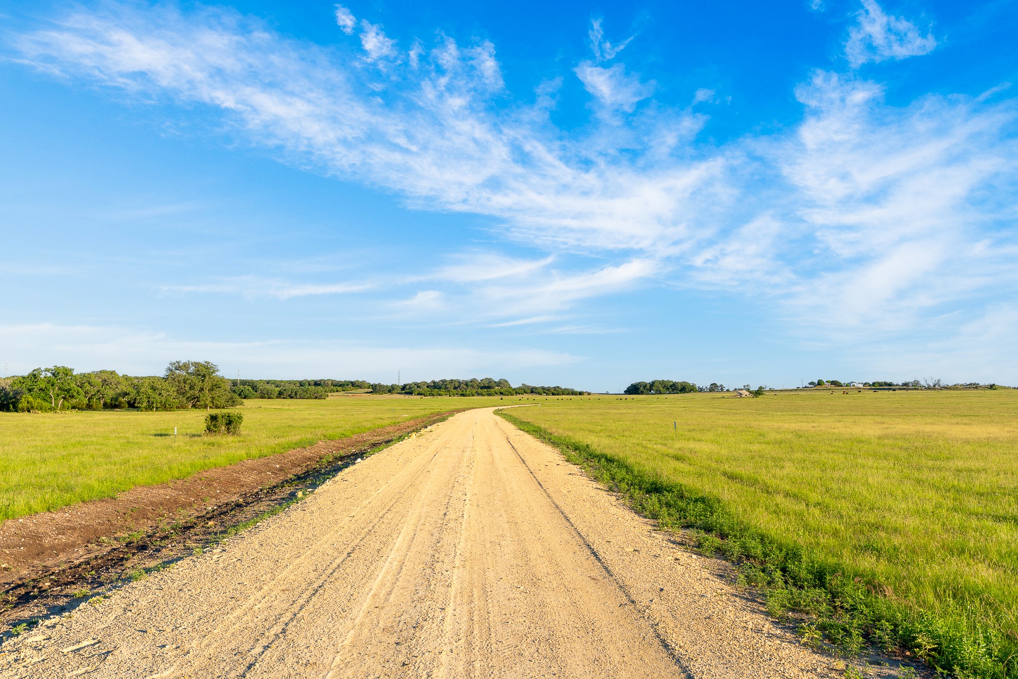 32 Feild Ranch Road Burnet, TX 78611 - Photo 8 of 40 A long, winding gravel path leads through lush, verdant pastures under a clear sky, offering a peaceful rural escape.
