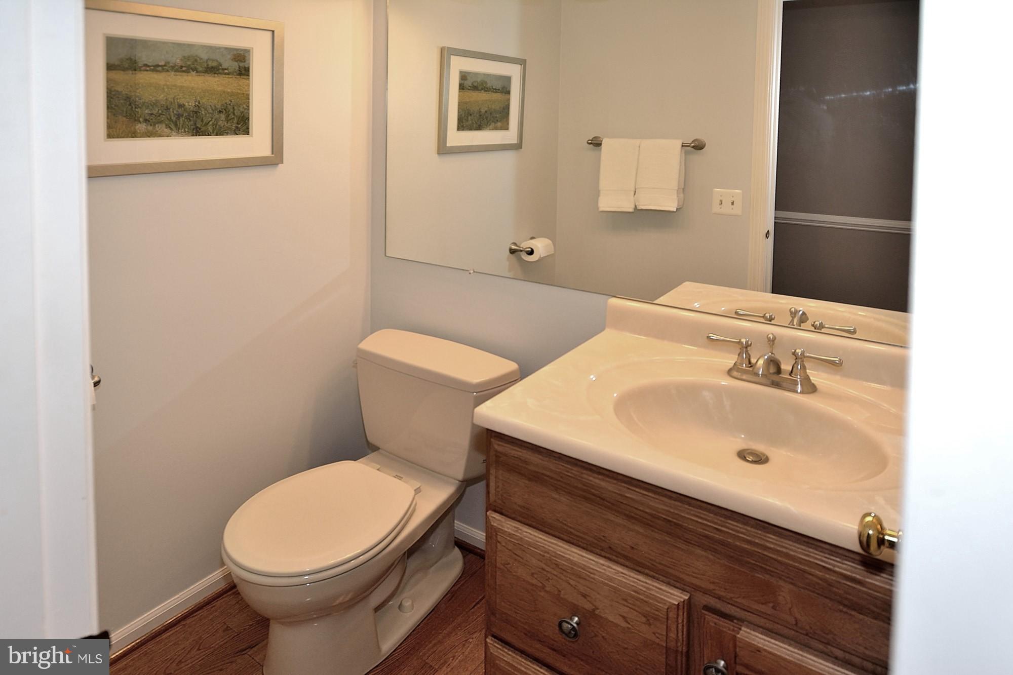 107 Rector Street Sterling, VA 20164 - Photo 12 of 29 Main level powder room