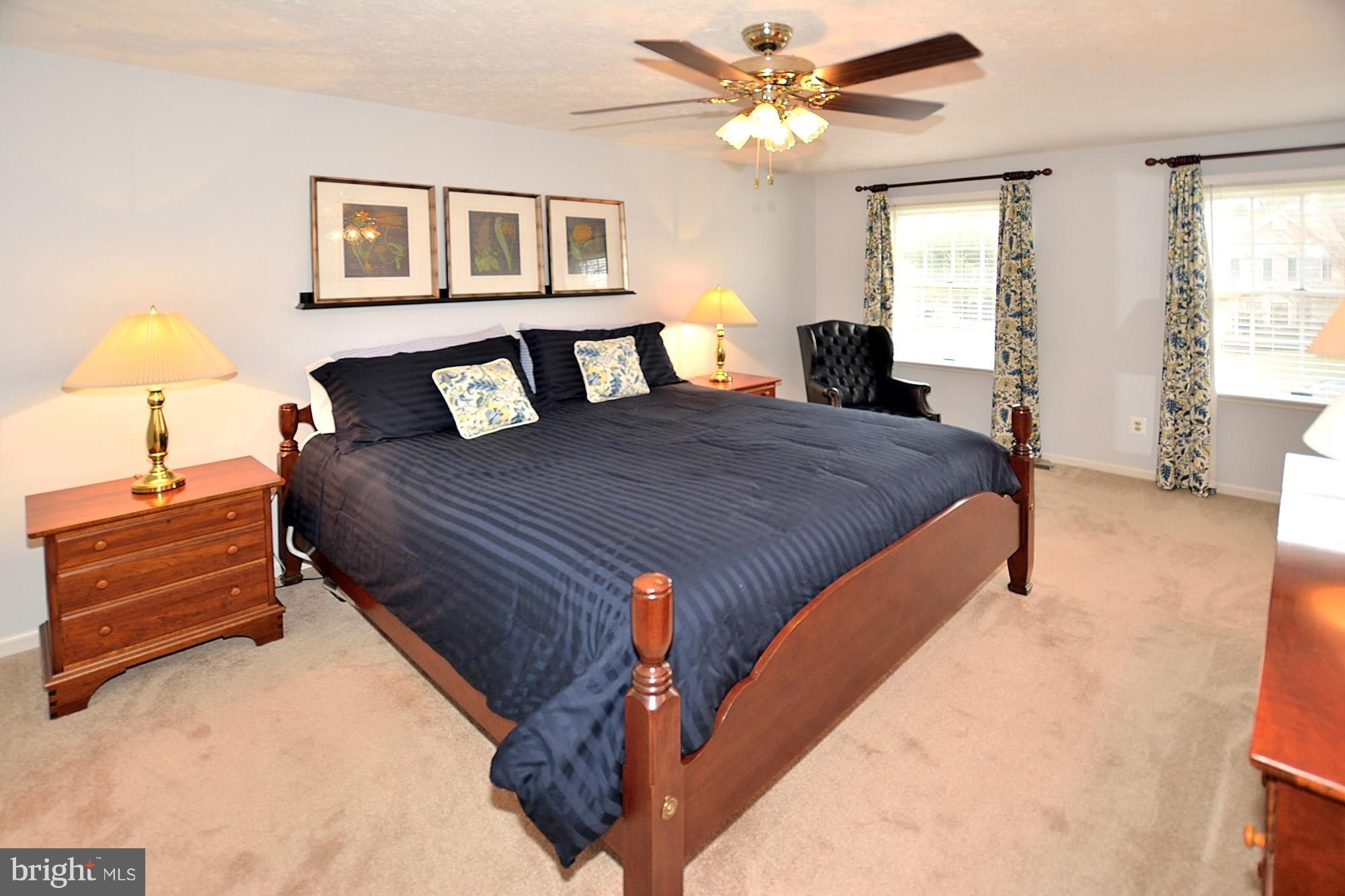 107 Rector Street Sterling, VA 20164 - Photo 13 of 29 Spacious master bedroom