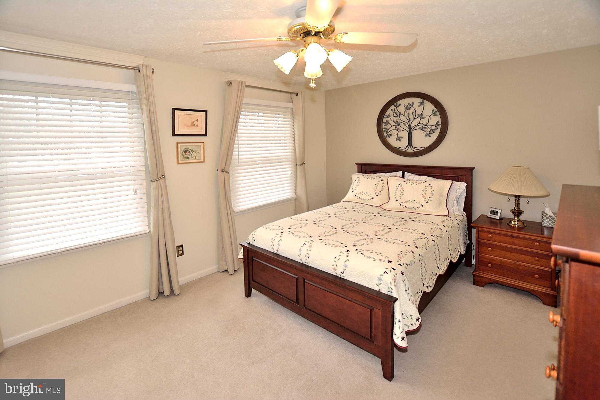 107 Rector Street Sterling, VA 20164 - Photo 16 of 29 2nd Bedroom