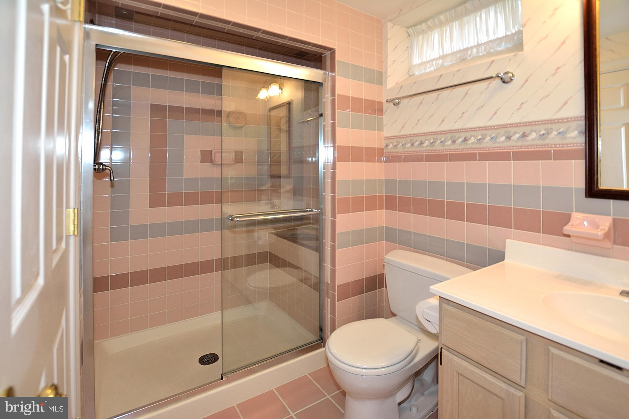 107 Rector Street Sterling, VA 20164 - Photo 22 of 29 Lower level full bath