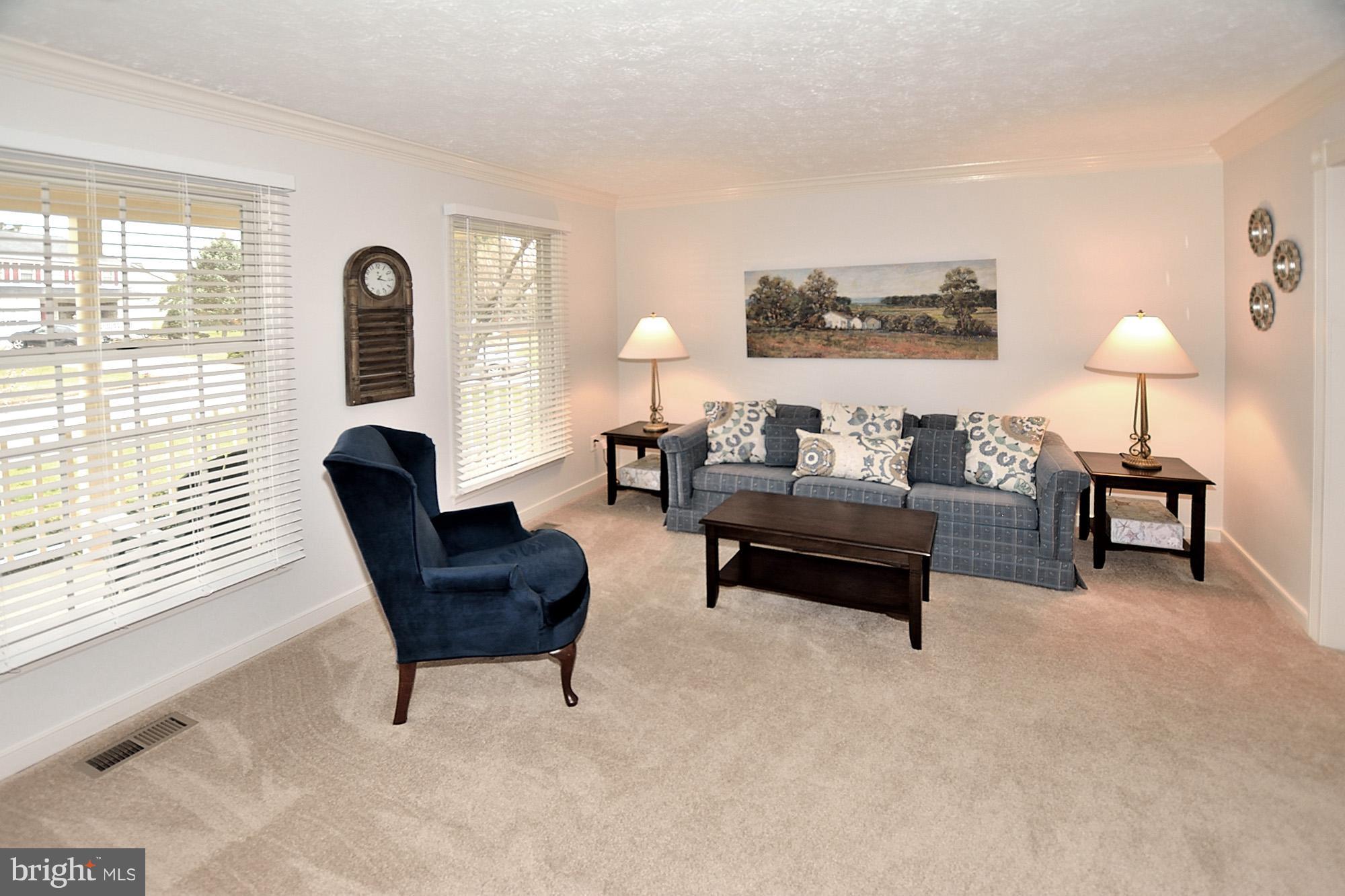 107 Rector Street Sterling, VA 20164 - Photo 4 of 29 Light filled living room