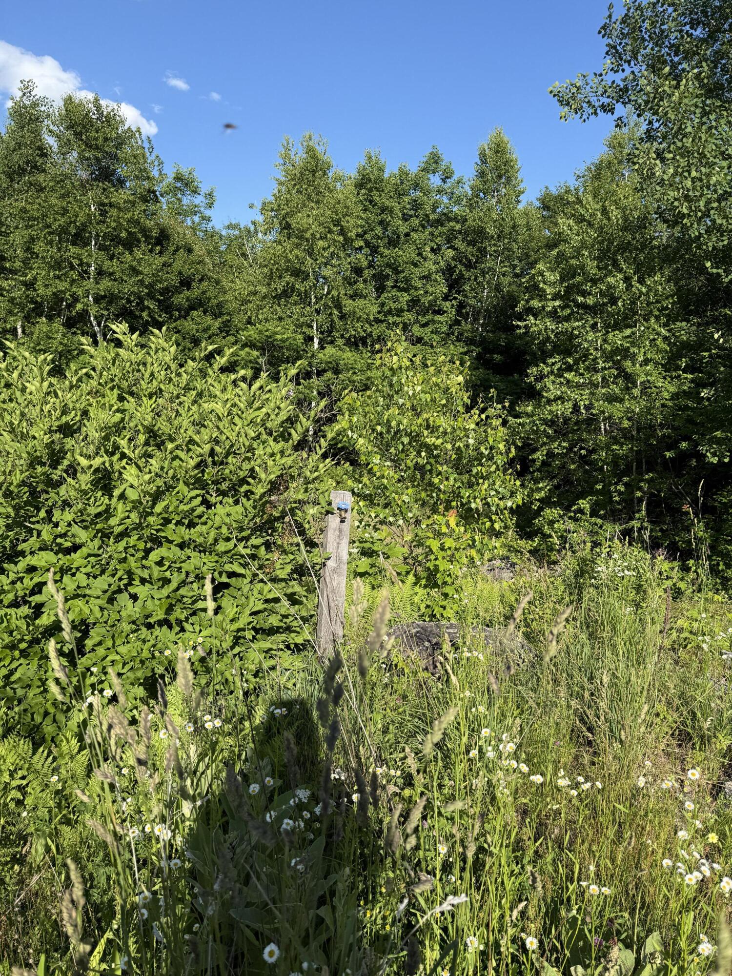 157 Durgin Road Paris, ME 04281 - Photo 27 of 32 Water spicket