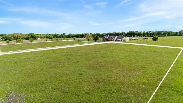 a view of a big yard with lawn chairs and large trees