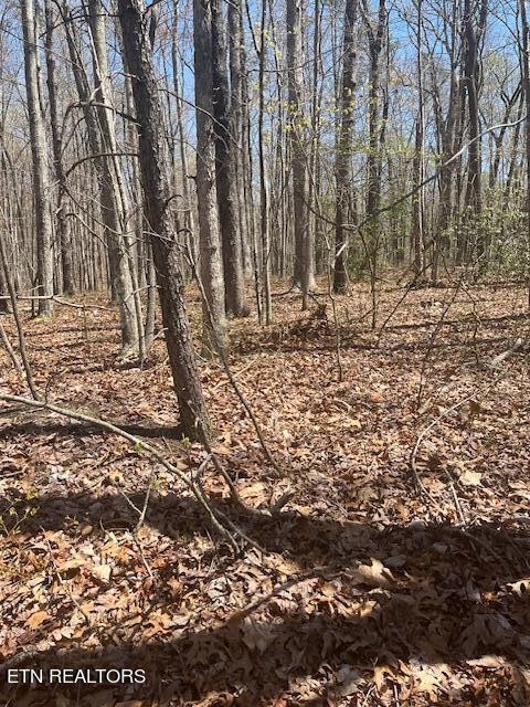 0 Reeves Road Monterey, TN 38574 - Photo 7 of 10 Gallery Image 7