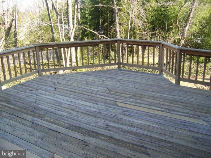 10123 Riggs Road Hyattsville, MD 20783 - Photo 20 of 22 Deck - View from