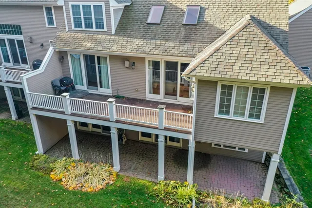 a view of a yard with plants and trees