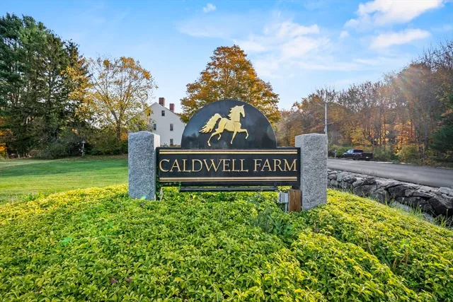 a livingroom with wooden floor and furniture