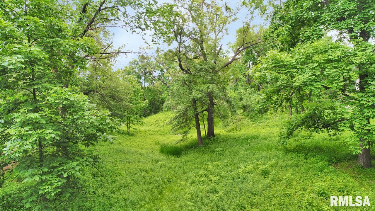 29092 Queenwood Road Morton, IL 61550 - Photo 12 of 50