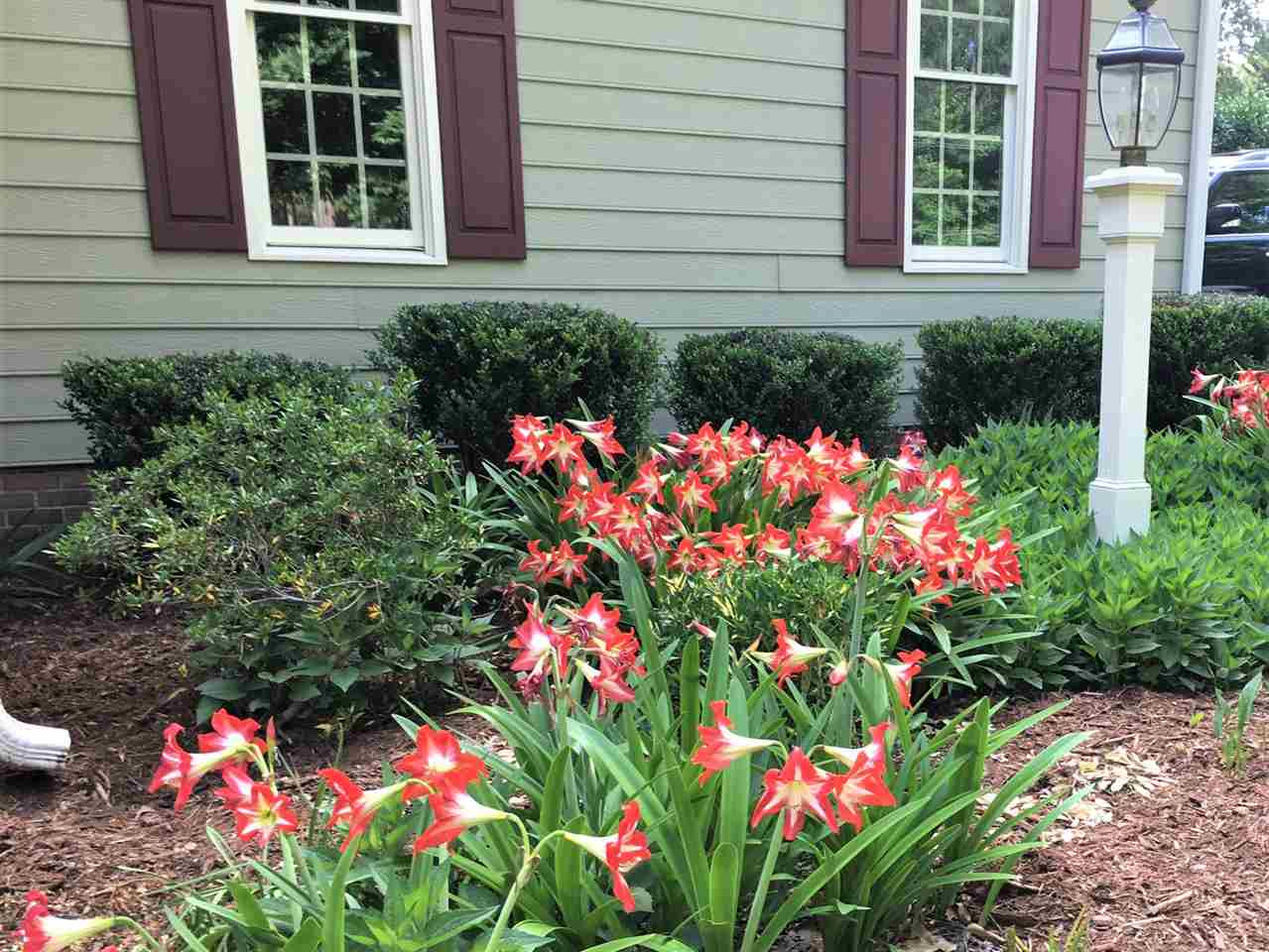 9448 Ferrell Road Zebulon, NC 27597 - Photo 28 of 30 One of many flowering surprises to greet you next spring! Daylilly bed