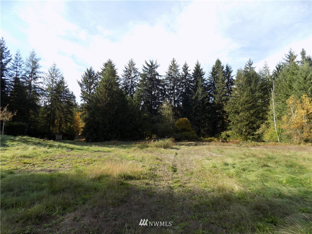 66-xxx Robe Menzel Road Granite Falls, WA 98252 - Photo 1 of 19