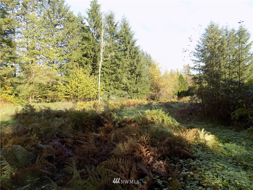 66-xxx Robe Menzel Road Granite Falls, WA 98252 - Photo 11 of 19