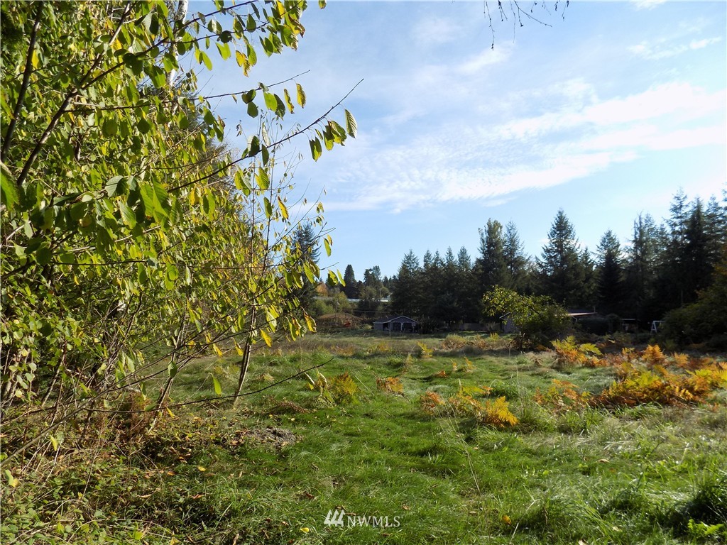 66-xxx Robe Menzel Road Granite Falls, WA 98252 - Photo 12 of 19