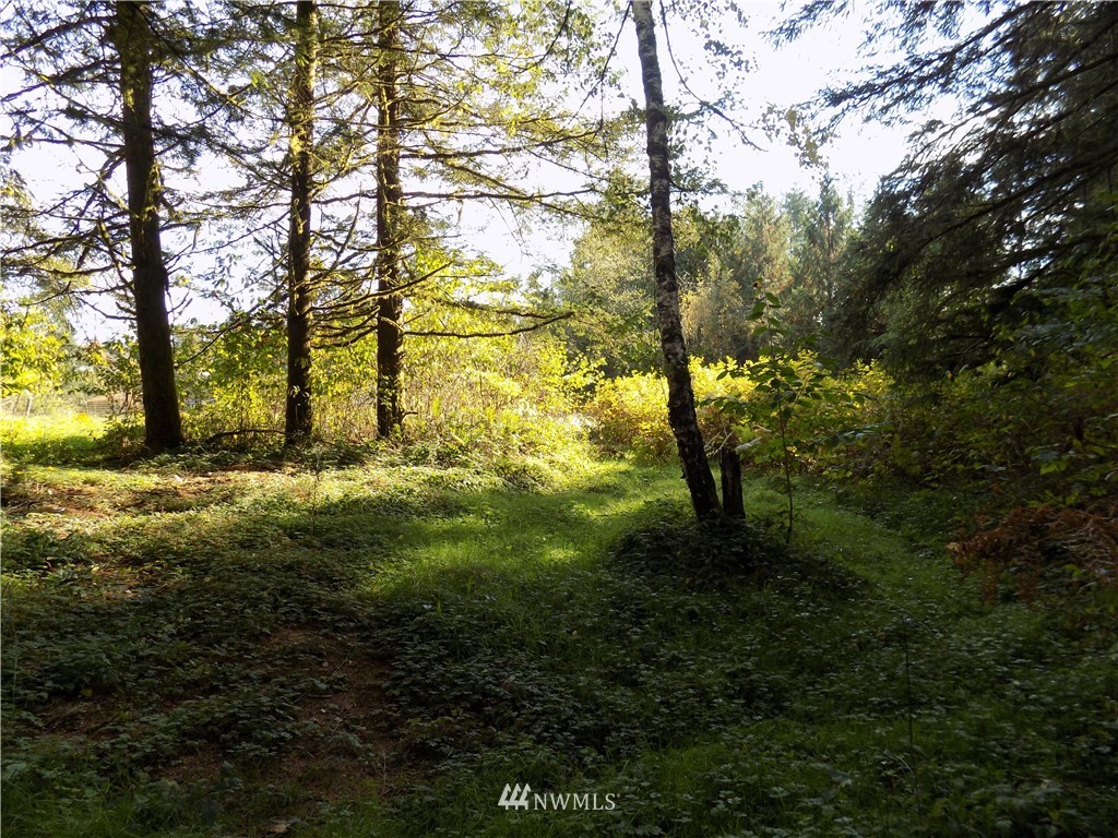 66-xxx Robe Menzel Road Granite Falls, WA 98252 - Photo 14 of 19