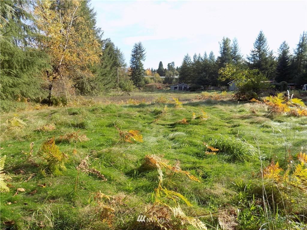 66-xxx Robe Menzel Road Granite Falls, WA 98252 - Photo 15 of 19