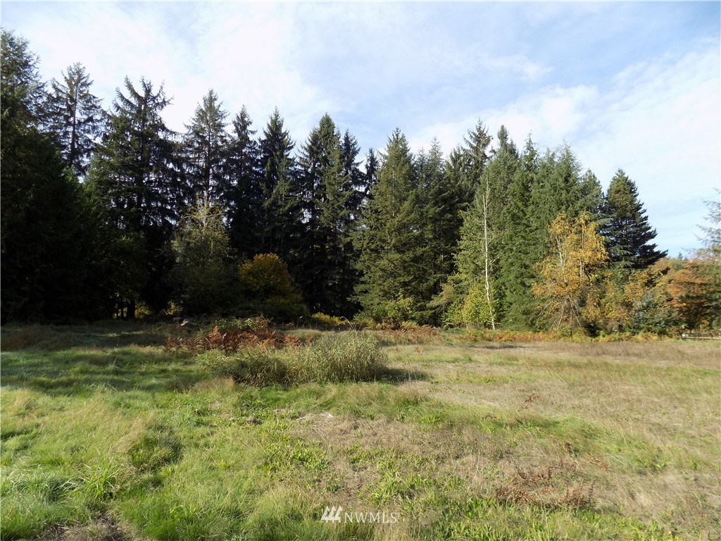 66-xxx Robe Menzel Road Granite Falls, WA 98252 - Photo 5 of 19