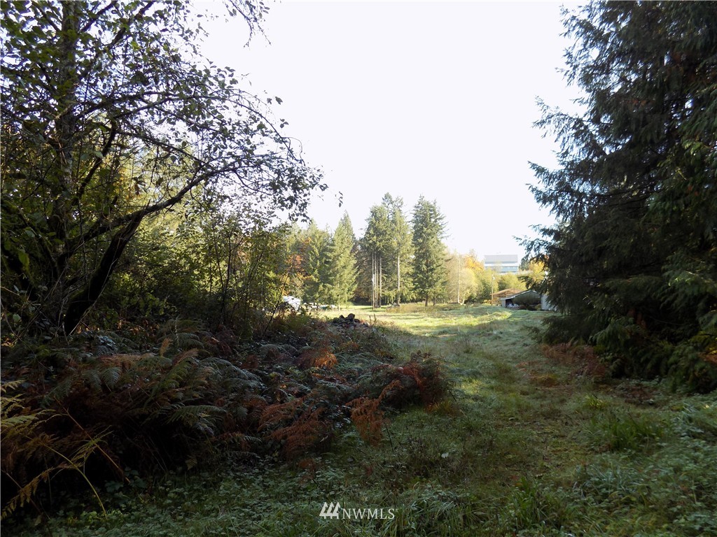 66-xxx Robe Menzel Road Granite Falls, WA 98252 - Photo 6 of 19