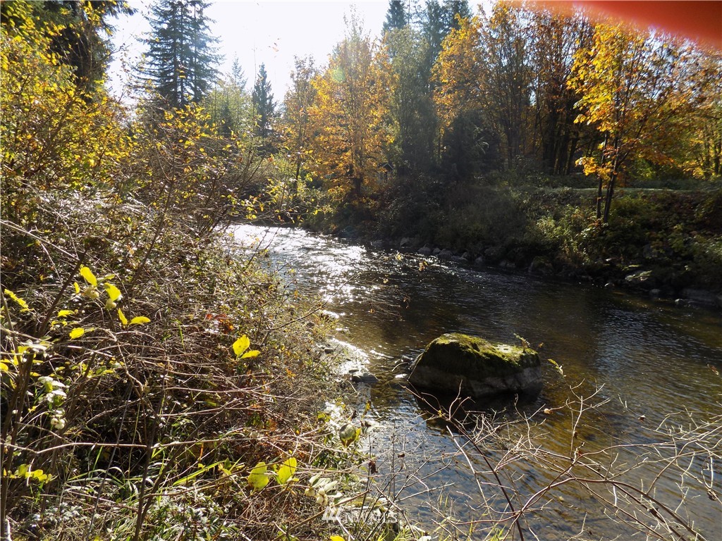 66-xxx Robe Menzel Road Granite Falls, WA 98252 - Photo 9 of 19