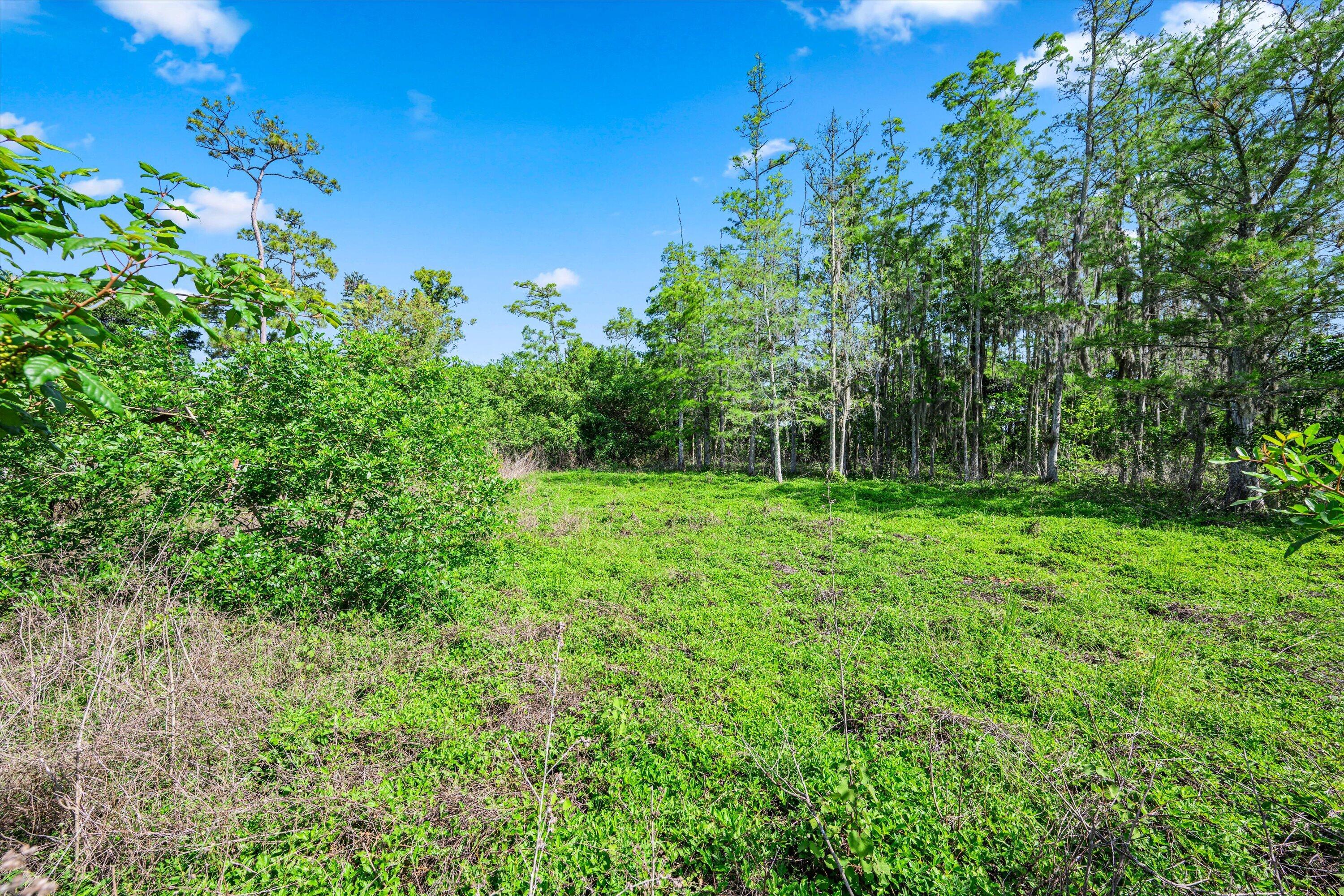 1814 A Road Loxahatchee Groves, FL 33470 - Photo 27 of 38 lot
