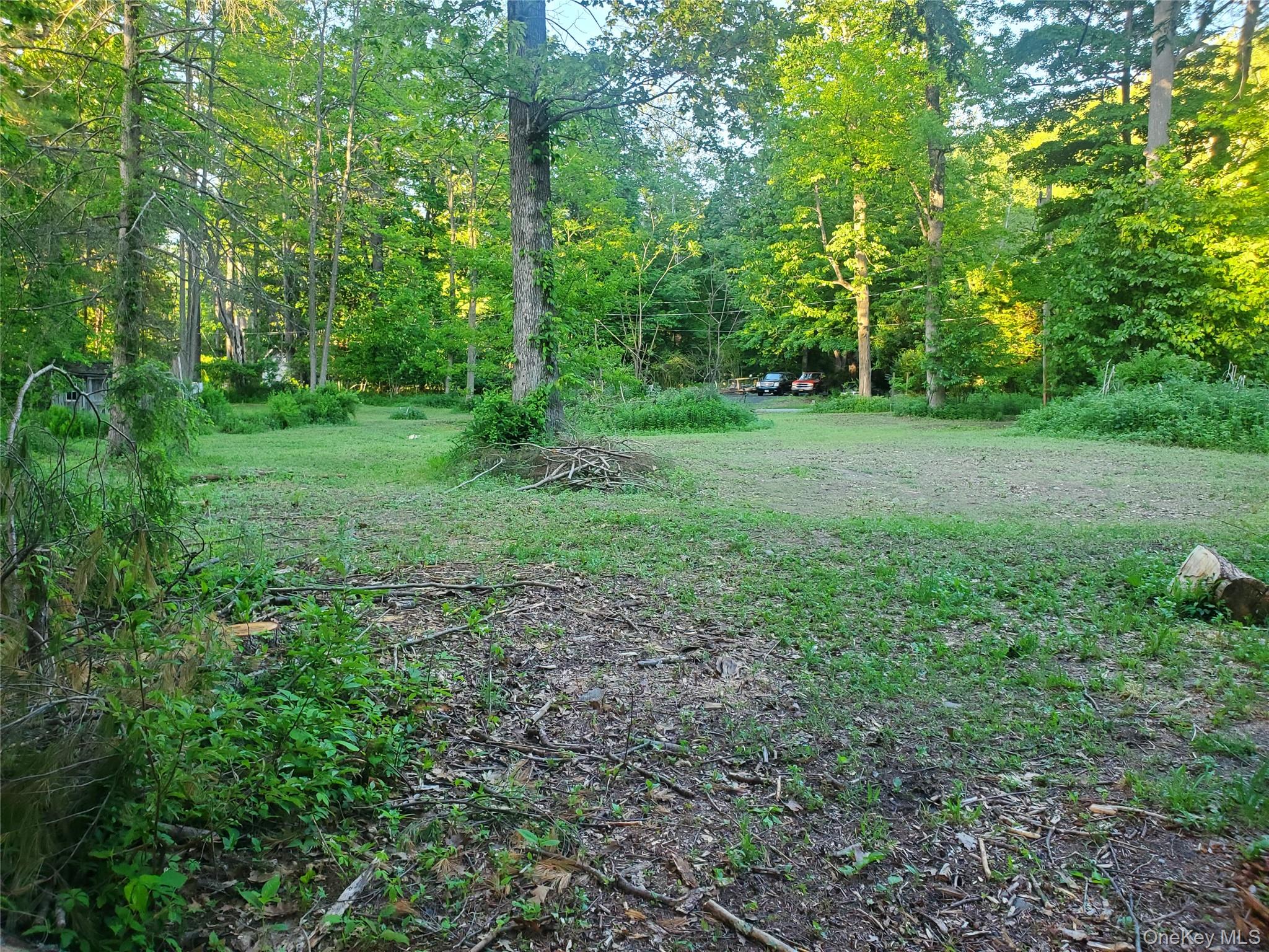 6-8 Grove Street Godeffroy, NY 12729 - Photo 5 of 6