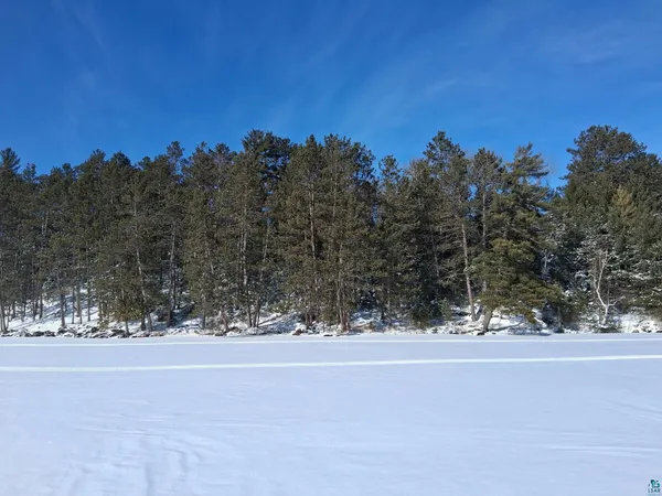 $86,500 | Xxxx North Xxxx N North Arm Street, Orr, MN 55771