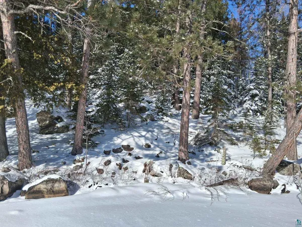 $86,500 | Xxxx North Xxxx N North Arm Street, Orr, MN 55771