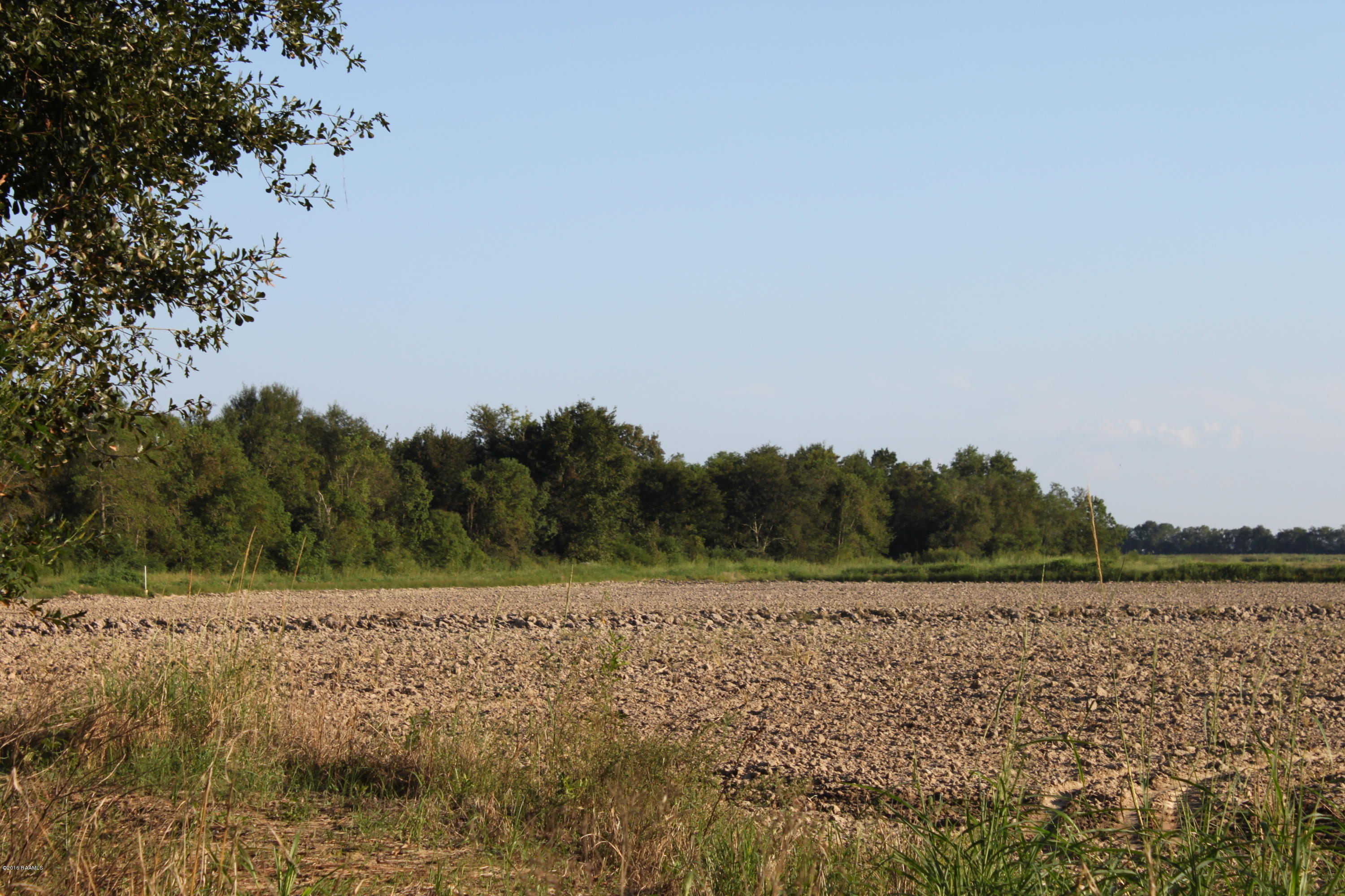 Casanova Road Crowley, LA 70526 - Photo 2 of 3 IMG_5054