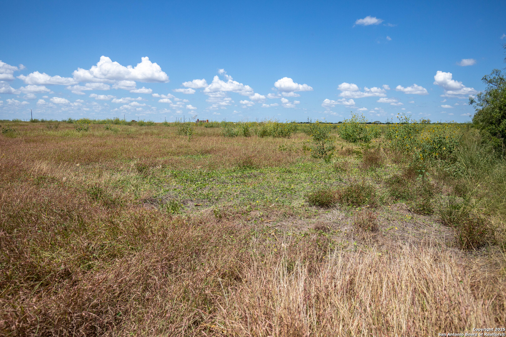 0 County Road 647 Mathis, TX 78368 - Photo 15 of 47 a view of a lake