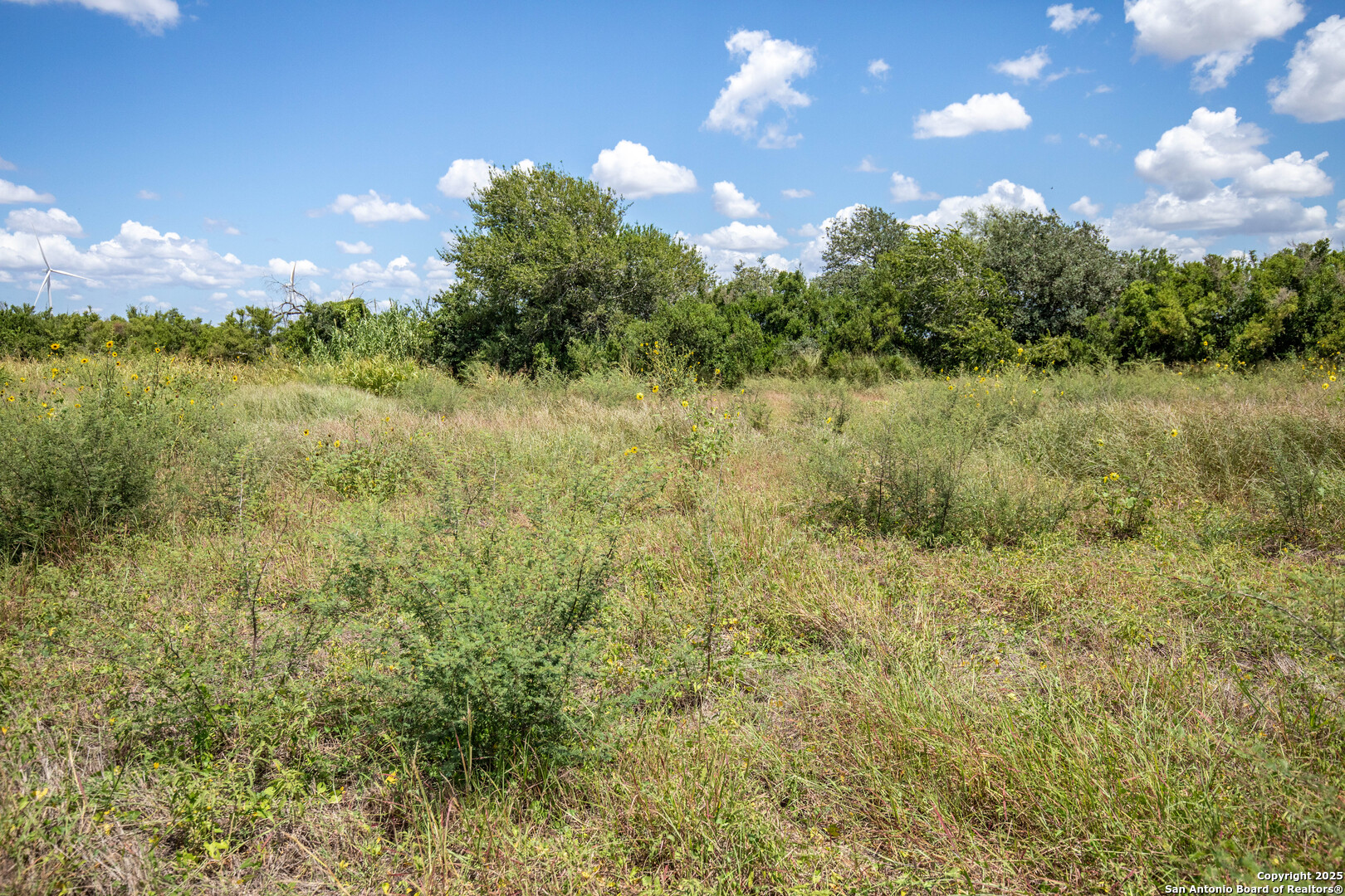 0 County Road 647 Mathis, TX 78368 - Photo 21 of 47 a view of a yard with a tree