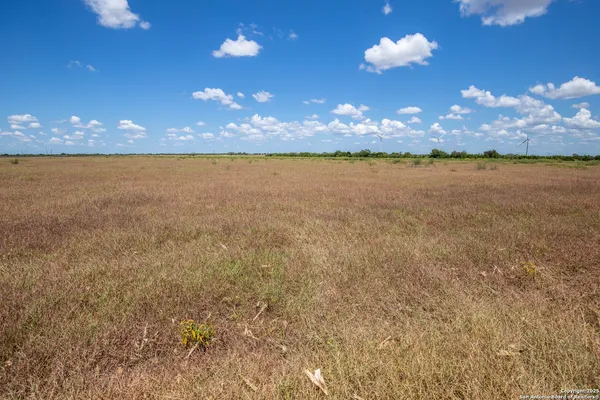 a view of an ocean in a field