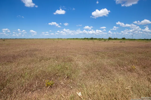 a view of an ocean in a field