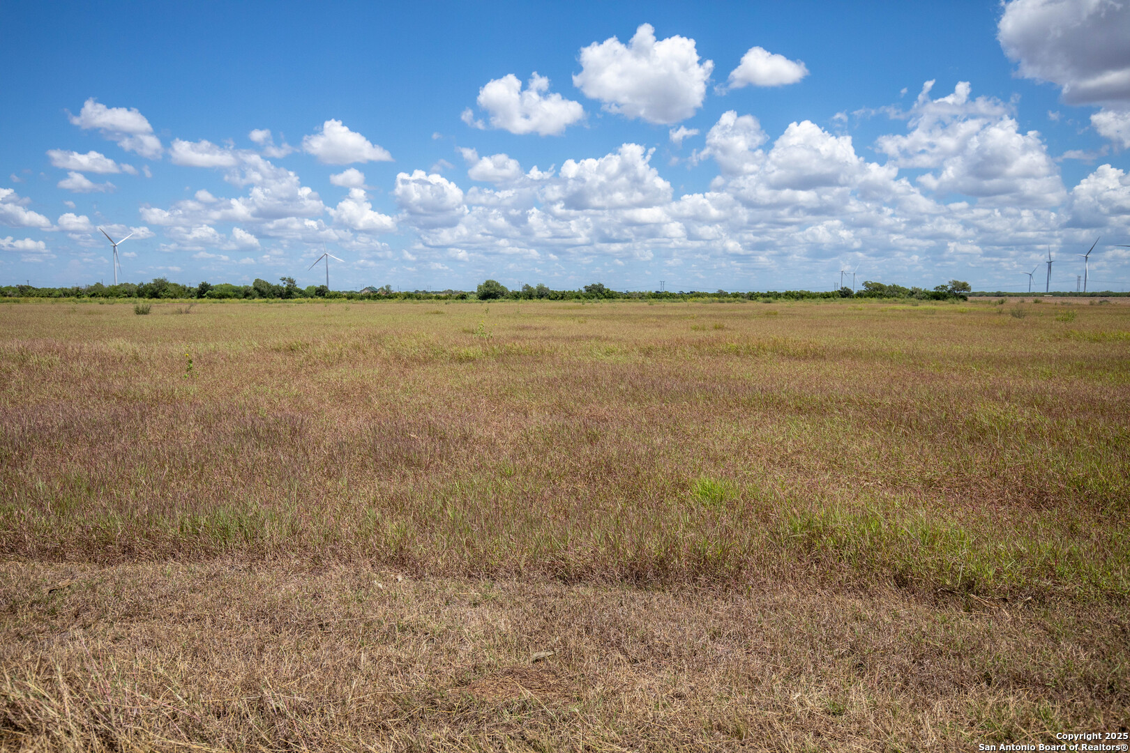 0 County Road 647 Mathis, TX 78368 - Photo 31 of 47