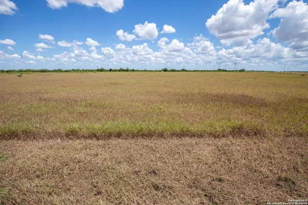 a view of a lake from a yard
