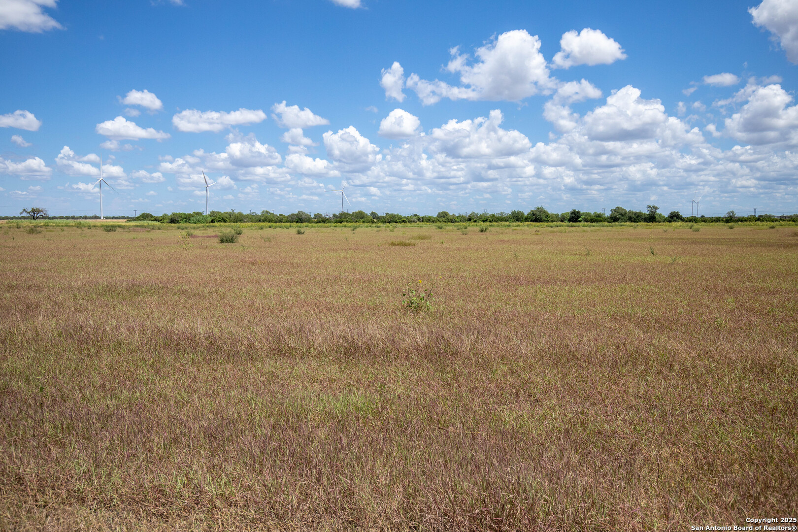 0 County Road 647 Mathis, TX 78368 - Photo 39 of 47 a view of a lake and sunset