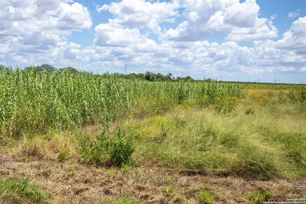 a view of lake from window