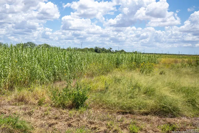 a view of lake from window