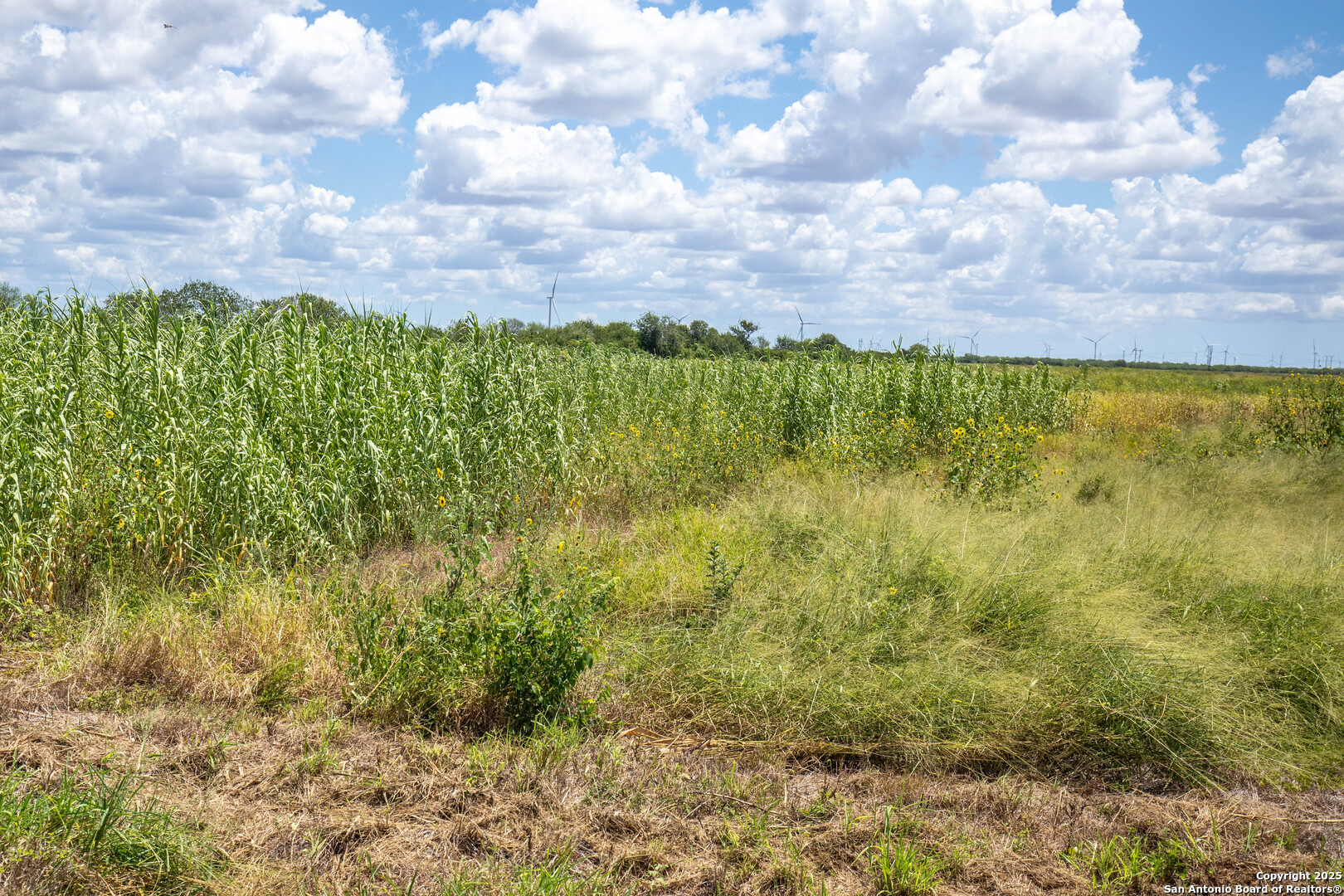 0 County Road 647 Mathis, TX 78368 - Photo 41 of 47