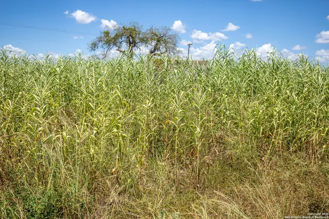 $340,000 | 0 County Road 647, Mathis, TX 78368