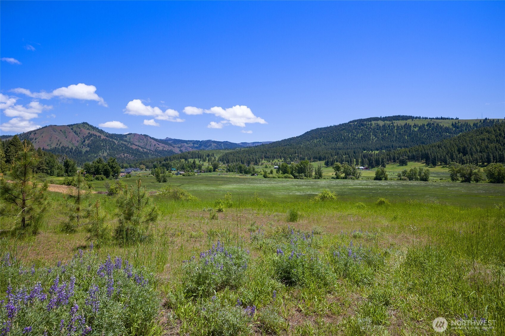 0 Ranch Road Cle Elum, WA 98922 - Photo 1 of 15 Gallery Image 1
